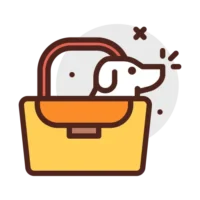 A Complete Checklist for Moving with Pets